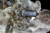 Dark Smoky Quartz Cluster - Large Crystals #60925-3